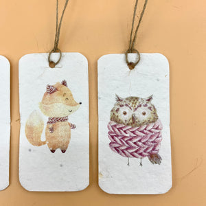 Seed paper plantable gift tags from our "i-grow" collection : Winter | Set of 6