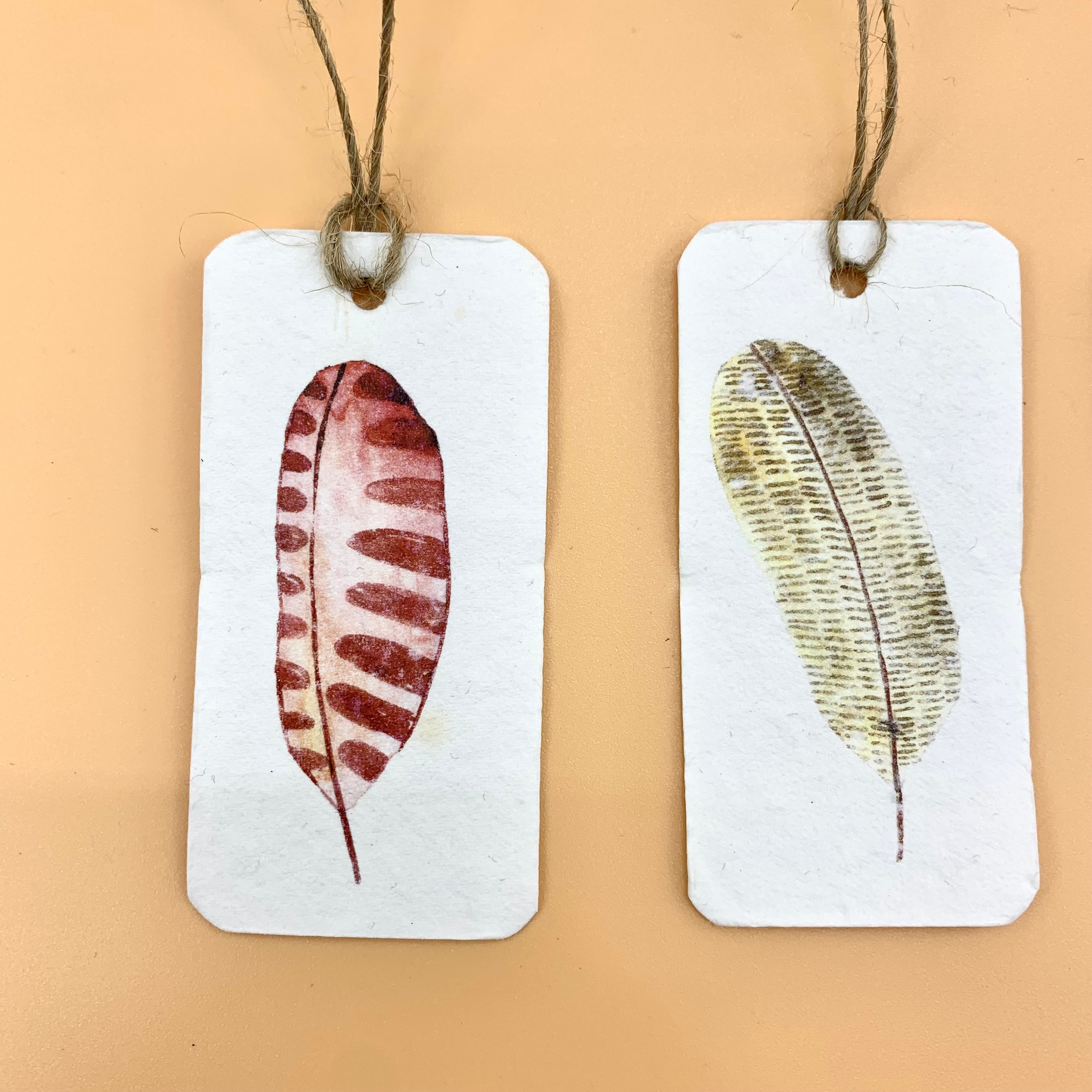 Seed paper plantable gift tags from our "i-grow" collection : Feathers | Set of 6